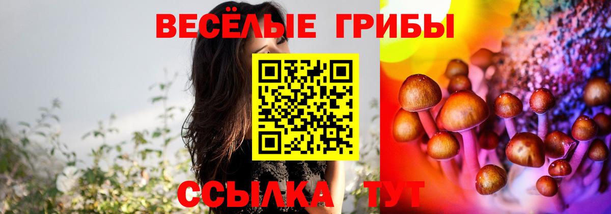 Псилоцибиновые грибы MAGIC MUSHROOMS Верхняя Пышма